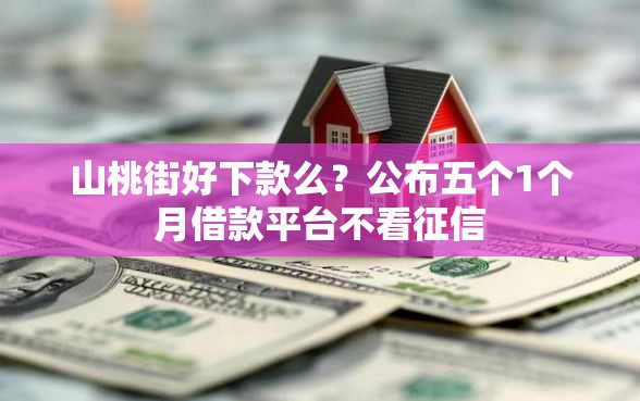 山桃街好下款么？公布五个1个月借款平台不看征信