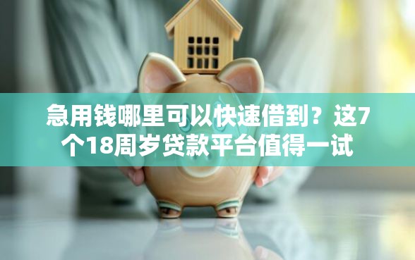 急用钱哪里可以快速借到？这7个18周岁贷款平台值得一试