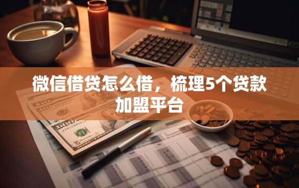 微信借贷怎么借，梳理5个贷款加盟平台