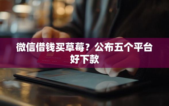 微信借钱买草莓？公布五个平台好下款