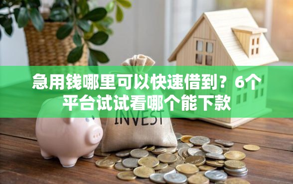 急用钱哪里可以快速借到？6个平台试试看哪个能下款