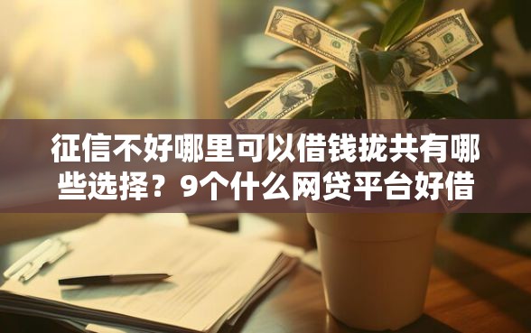 征信不好哪里可以借钱拢共有哪些选择？9个什么网贷平台好借钱详解
