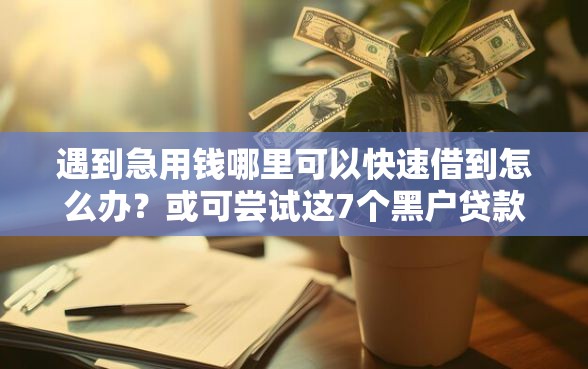遇到急用钱哪里可以快速借到怎么办？或可尝试这7个黑户贷款平台