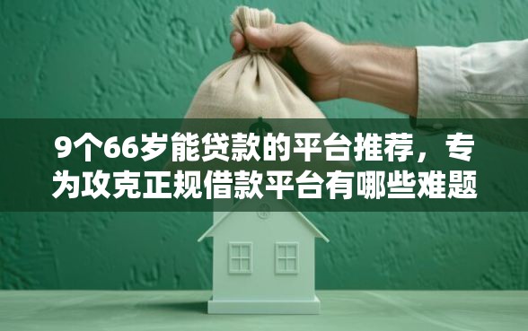 9个66岁能贷款的平台推荐，专为攻克正规借款平台有哪些难题