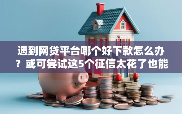 遇到网贷平台哪个好下款怎么办？或可尝试这5个征信太花了也能借钱的平台