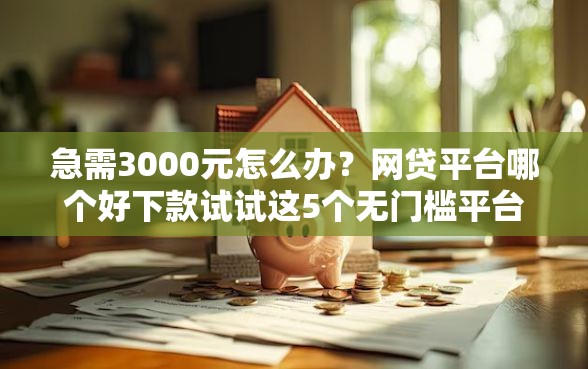 急需3000元怎么办？网贷平台哪个好下款试试这5个无门槛平台