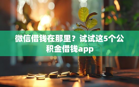 微信借钱在那里？试试这5个公积金借钱app