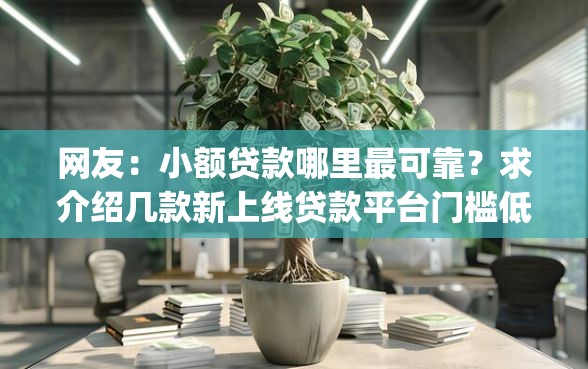 网友：小额贷款哪里最可靠？求介绍几款新上线贷款平台门槛低app