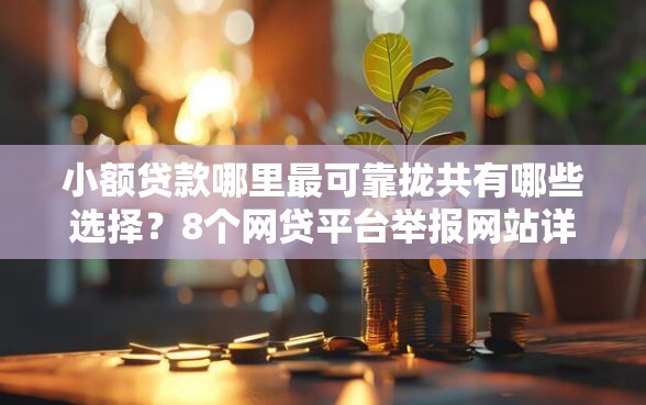 小额贷款哪里最可靠拢共有哪些选择？8个网贷平台举报网站详解