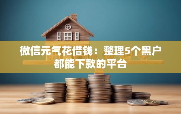 微信元气花借钱：整理5个黑户都能下款的平台