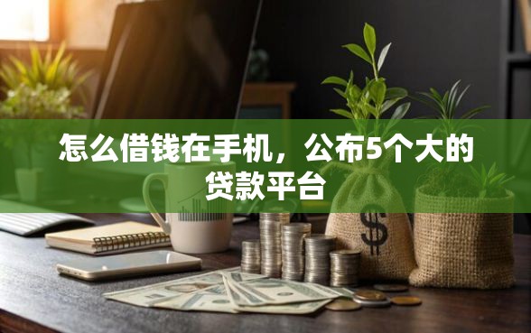 怎么借钱在手机，公布5个大的贷款平台