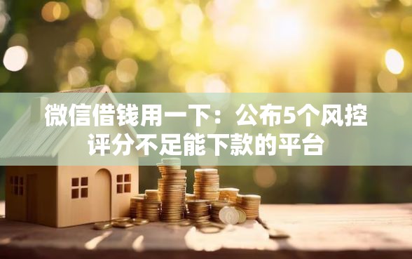 微信借钱用一下：公布5个风控评分不足能下款的平台