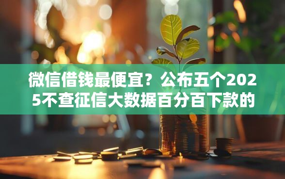 微信借钱最便宜？公布五个2025不查征信大数据百分百下款的平台