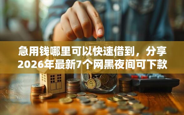 急用钱哪里可以快速借到，分享2026年最新7个网黑夜间可下款的口子