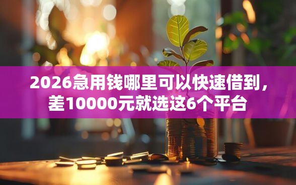 2026急用钱哪里可以快速借到，差10000元就选这6个平台