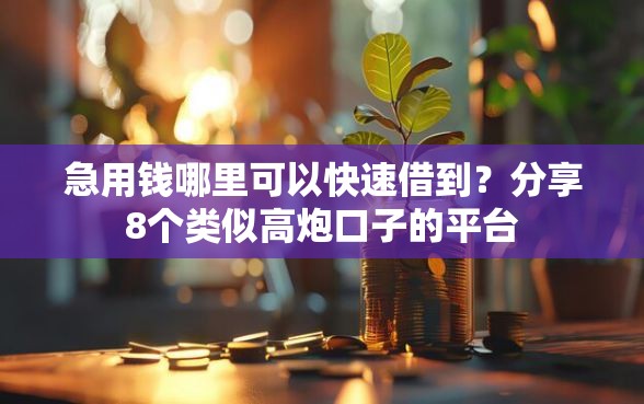 急用钱哪里可以快速借到？分享8个类似高炮口子的平台