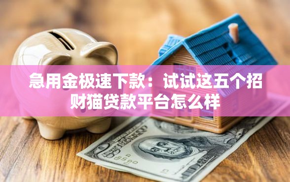 急用金极速下款：试试这五个招财猫贷款平台怎么样