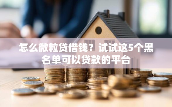 怎么微粒贷借钱？试试这5个黑名单可以贷款的平台