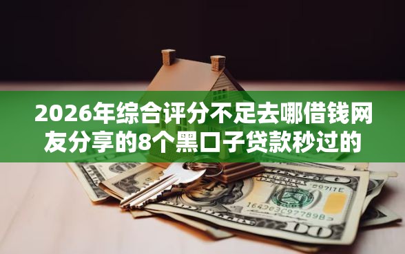 2026年综合评分不足去哪借钱网友分享的8个黑口子贷款秒过的口子我觉得不错！