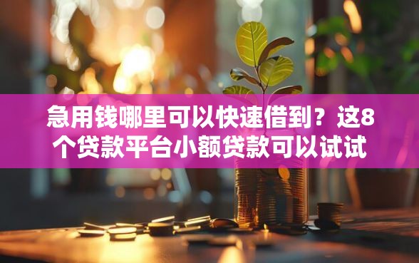 急用钱哪里可以快速借到？这8个贷款平台小额贷款可以试试