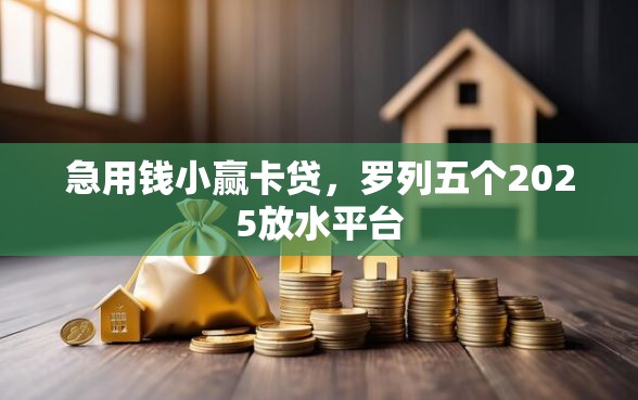 急用钱小赢卡贷，罗列五个2025放水平台