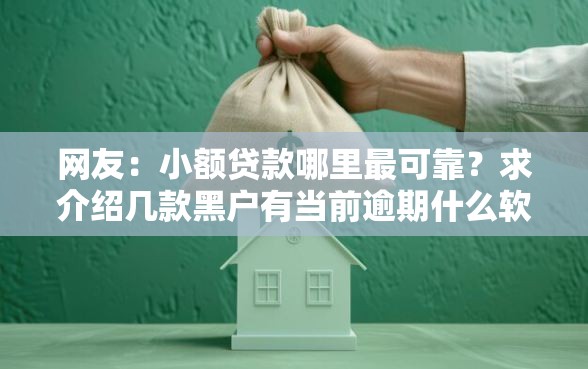 网友：小额贷款哪里最可靠？求介绍几款黑户有当前逾期什么软件能做贷款