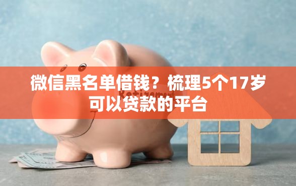 微信黑名单借钱？梳理5个17岁可以贷款的平台
