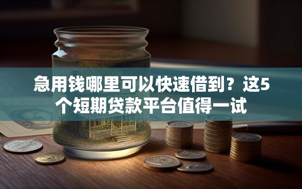 急用钱哪里可以快速借到？这5个短期贷款平台值得一试