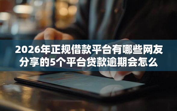 2026年正规借款平台有哪些网友分享的5个平台贷款逾期会怎么样我觉得不错！