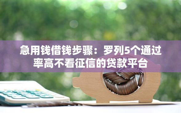 急用钱借钱步骤：罗列5个通过率高不看征信的贷款平台