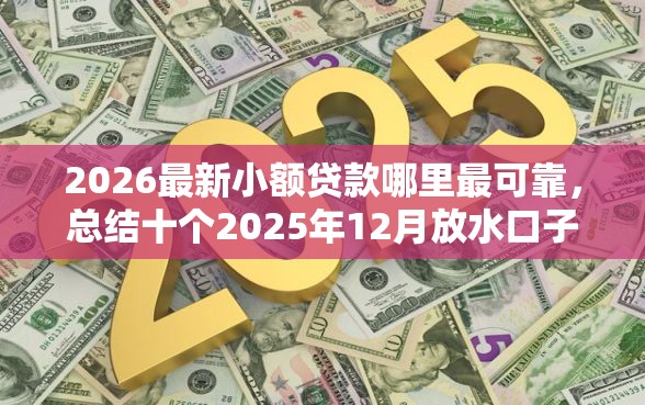 2026最新小额贷款哪里最可靠，总结十个2025年12月放水口子！