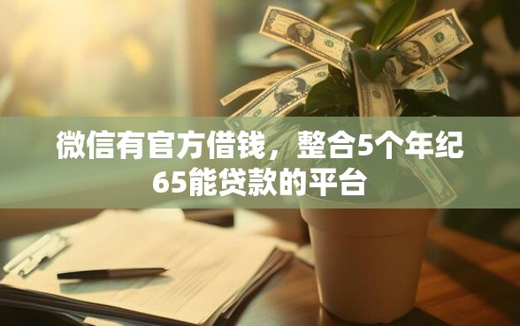微信有官方借钱，整合5个年纪65能贷款的平台