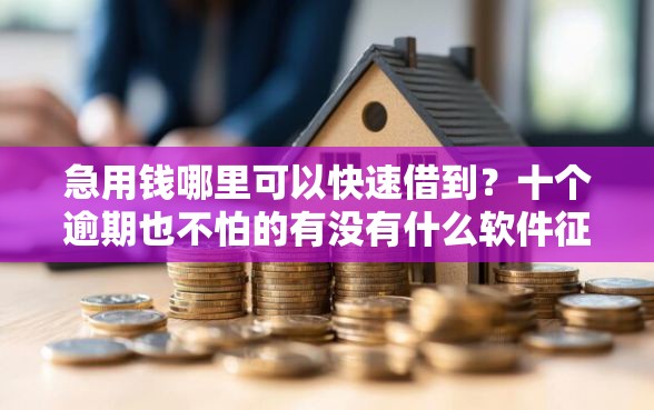 急用钱哪里可以快速借到？十个逾期也不怕的有没有什么软件征信黑了可以贷款