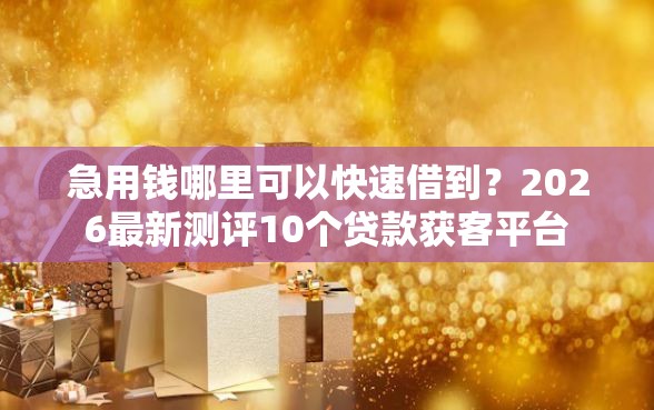 急用钱哪里可以快速借到？2026最新测评10个贷款获客平台