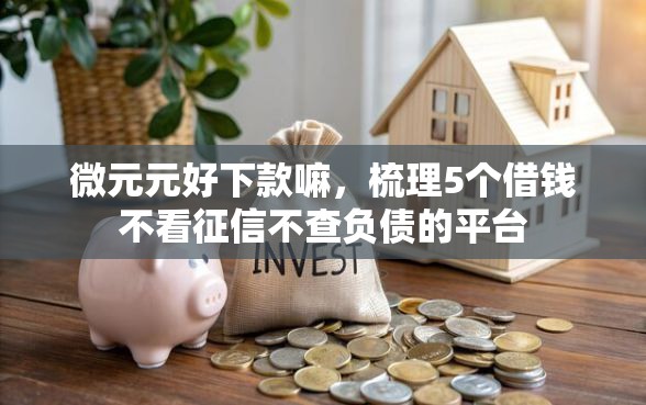 微元元好下款嘛，梳理5个借钱不看征信不查负债的平台