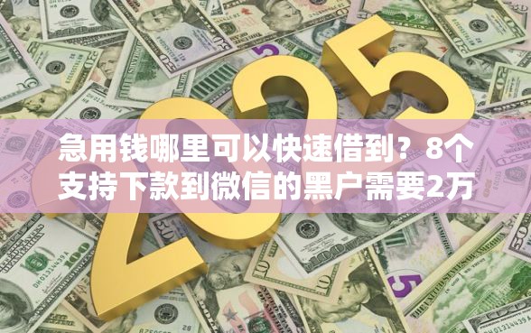急用钱哪里可以快速借到？8个支持下款到微信的黑户需要2万可以在借款平台借款