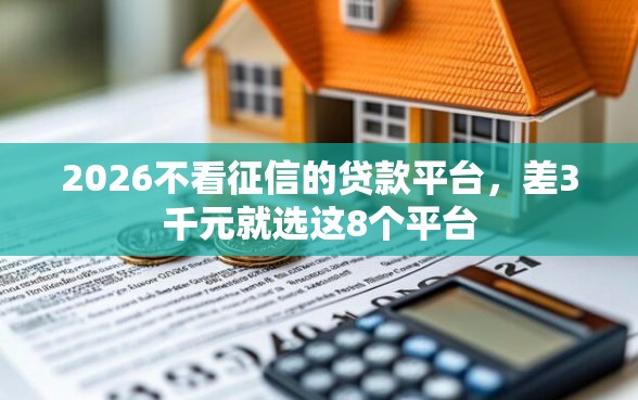 2026不看征信的贷款平台，差3千元就选这8个平台