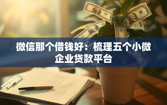 微信那个借钱好：梳理五个小微企业贷款平台