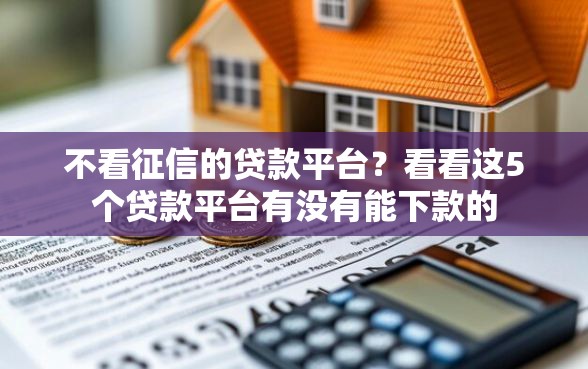 不看征信的贷款平台？看看这5个贷款平台有没有能下款的