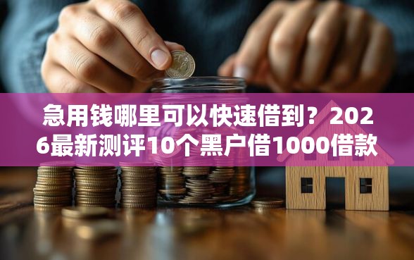 急用钱哪里可以快速借到？2026最新测评10个黑户借1000借款平台能放款