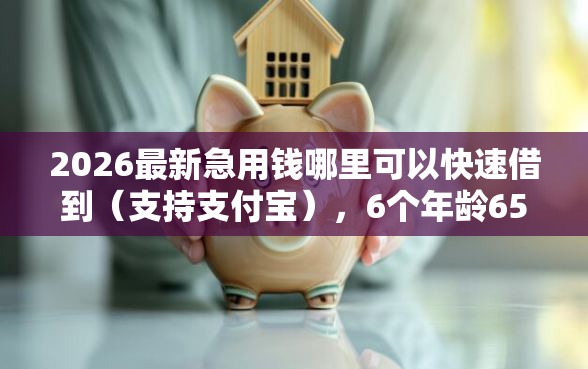 2026最新急用钱哪里可以快速借到（支持支付宝），6个年龄65了可以申请的网贷平台无私分享