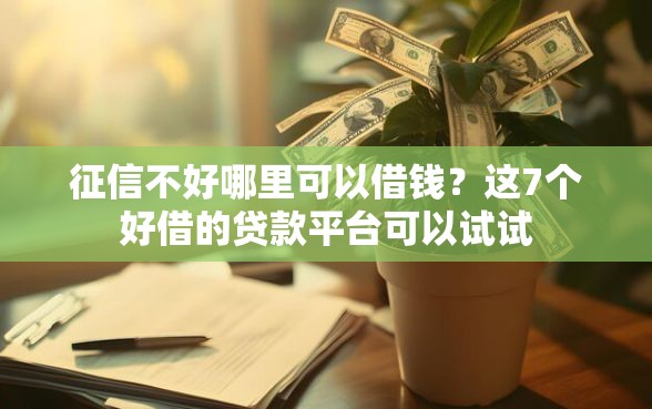 征信不好哪里可以借钱？这7个好借的贷款平台可以试试