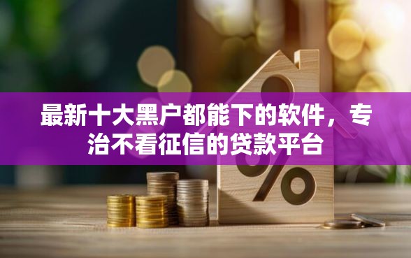 最新十大黑户都能下的软件，专治不看征信的贷款平台