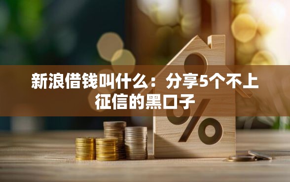 新浪借钱叫什么：分享5个不上征信的黑口子