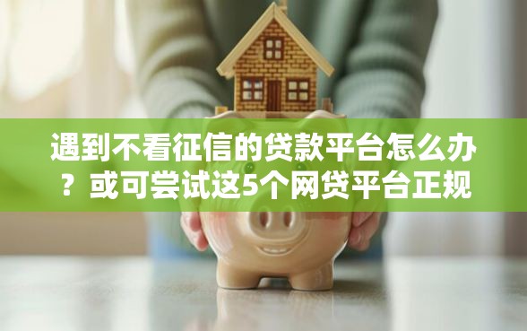 遇到不看征信的贷款平台怎么办？或可尝试这5个网贷平台正规利息低