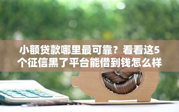小额贷款哪里最可靠？看看这5个征信黑了平台能借到钱怎么样
