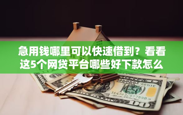 急用钱哪里可以快速借到？看看这5个网贷平台哪些好下款怎么样