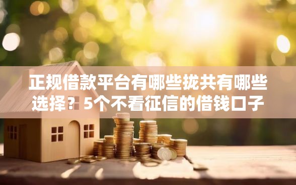 正规借款平台有哪些拢共有哪些选择?5个不看征信的借钱口子详解 正规借款平台有哪些拢共有哪些选择?5个不看征信的借钱口子详解