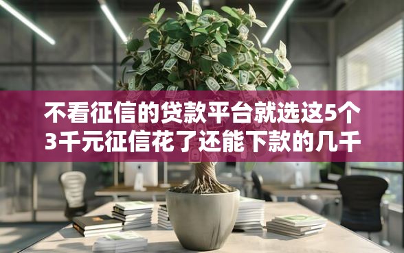 不看征信的贷款平台就选这5个3千元征信花了还能下款的几千小额度平台