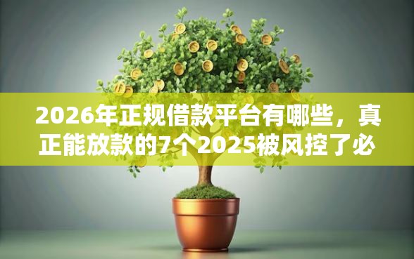 2026年正规借款平台有哪些，真正能放款的7个2025被风控了必下的口子推荐